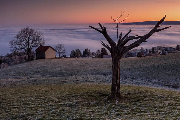 Switzerland, Canton Appenzell, view from Schwarzenegg, morning light