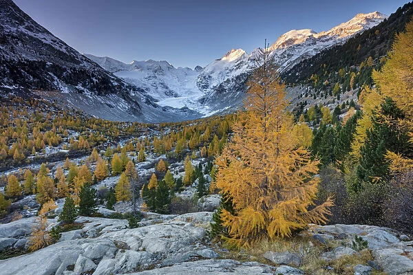 Switzerland, Canton Gaubunden, Engadin, Morteratsch valley