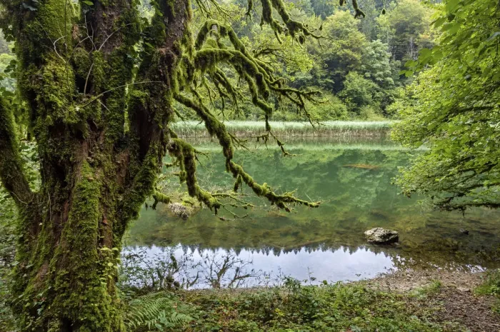 Framed Print : Switzerland, Canton of Jura, Doubs river