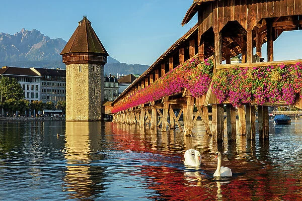 Switzerland, Canton Lucerne, Chapel Bridge (Kapellbrucke)