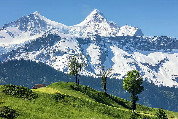 Switzerland, Canton of Obwalden, Wetterhorn mountain, view from Lungern