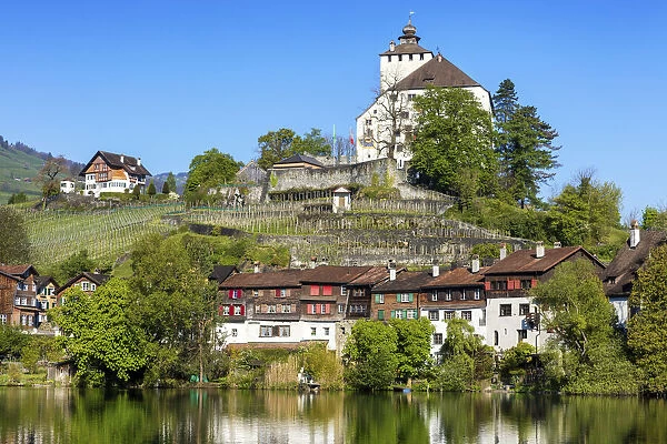 Switzerland, Canton St. Gallen, Rheintal, Schloss