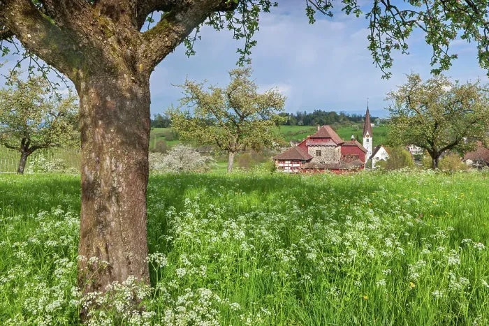 Framed Print : Switzerland, Canton of Thurgau, castle