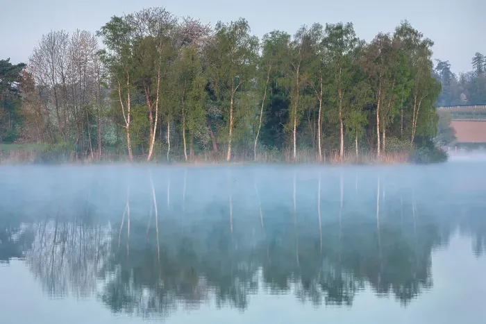 Framed Print : Switzerland, Canton of Thurgau, lake, reflection, morning fog Framed Print : Switzerland, Canton of Thurgau, lake, reflection, morning fog