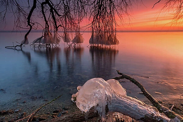 Switzerland, Canton of Thurgau, Lake Constance, ice sculpture, morning light