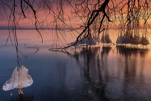 Switzerland, Canton of Thurgau, Lake Constance, ice sculpture, morning light