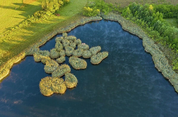 Switzerland, Canton of Thurgau, pond, floating islands