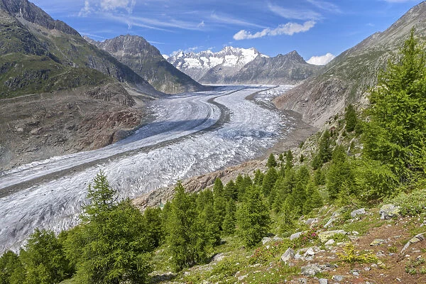Switzerland, Canton of Valais, Aletsch glacier