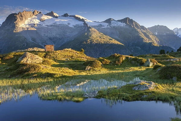 Switzerland, Canton of Valais, Alp Moosfluh, near Aletsch glacier