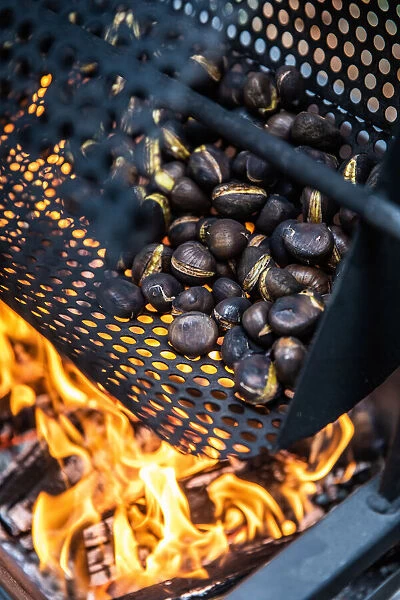 Switzerland, Canton of Valais, Fully, Cooking of roasted chestnuts