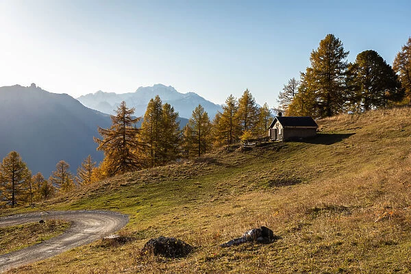 Switzerland, Canton of Valais, Fully, Autumnal landscape on the Grand Chavalard massif