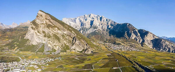 Switzerland, Canton of Valais, Leytron, Vineyard landscape