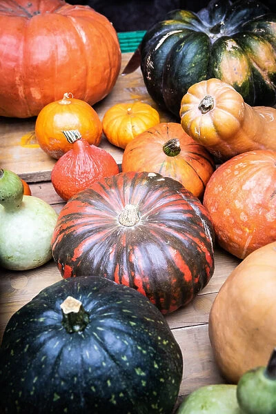 Switzerland, Canton of Valais, Sion, Fresh pumpkin at the Sions market