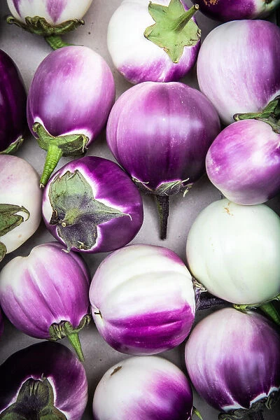 Switzerland, Canton of Valais, Sion, Fresh aubergines at the Sions market