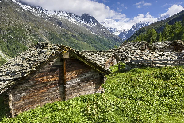 Switzerland, Canton of Valais, Val d Herens valley, Alp Louche
