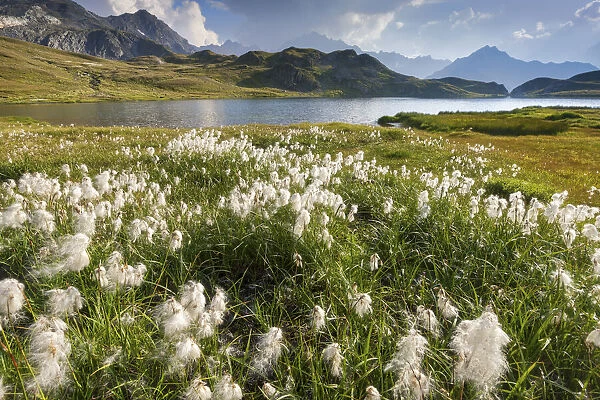Switzerland, Canton of Valais, Val Ferret valley, lake Fenetre