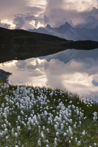 Switzerland, Canton of Valais, Val Ferret valley, lake Fenetre