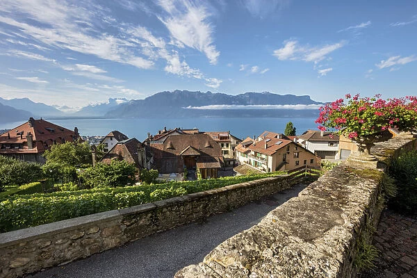 Switzerland, Canton of Vaud, Lake Geneva, Lavaux landscape, Chardonne village
