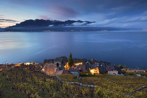 Switzerland, Canton of Vaud, Lake Geneva, Lavaux UNESCO world heritage site