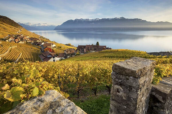 Switzerland, Canton of Vaud, Lake Geneva, Lavaux UNESCO world heritage site