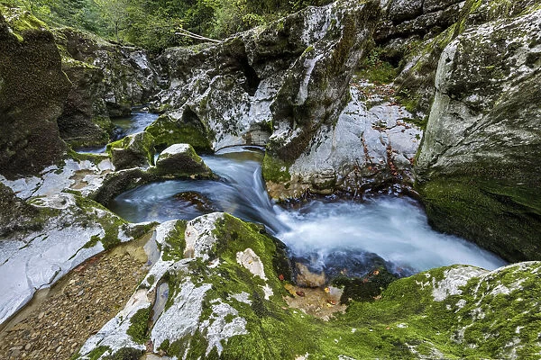 Switzerland, Canton of Vaud, Vaud jura, Gorges de l Orbe, Orbe river