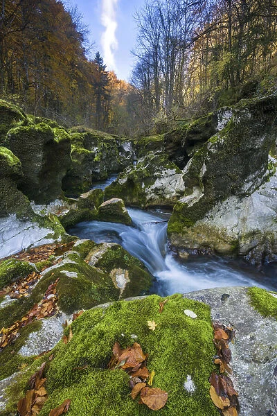Switzerland, Canton of Vaud, Vaud jura, Gorges de l Orbe, Orbe river