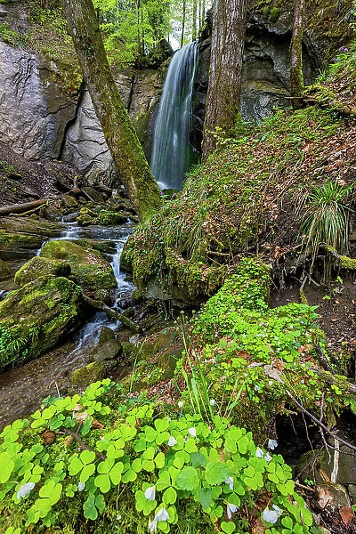 Switzerland, Canton of Zug, Mulibach waterfall