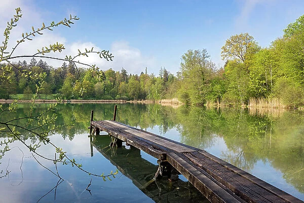 Switzerland, Canton Zurich, Husemersee, nature reserve, near Ossingen village