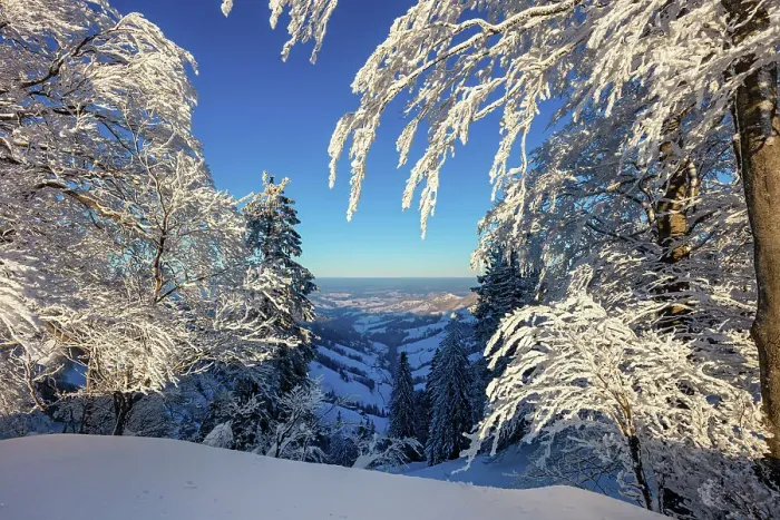 Framed Print : Switzerland, Canton Zurich, Tosstal, viewpoint, hoarfrost Framed Print : Switzerland, Canton Zurich, Tosstal, viewpoint, hoarfrost