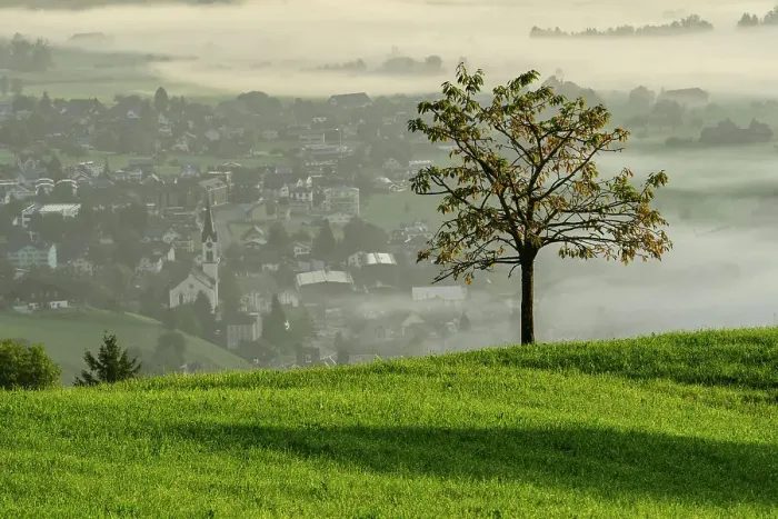 Framed Print : Switzerland, St. Gallen Canton, Gams, church with tree and fog Framed Print : Switzerland, St. Gallen Canton, Gams, church with tree and fog