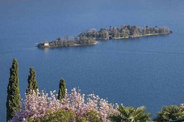 Switzerland, Ticino Canton, Lago Maggiore, View from Ronco