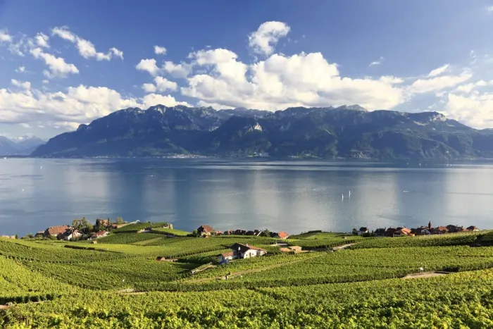 Framed Print : Switzerland, Vaud, Lavaux Vineyards, Rivaz Village and Lac Leman / Lake Geneva Framed Print : Switzerland, Vaud, Lavaux Vineyards, Rivaz Village and Lac Leman / Lake Geneva