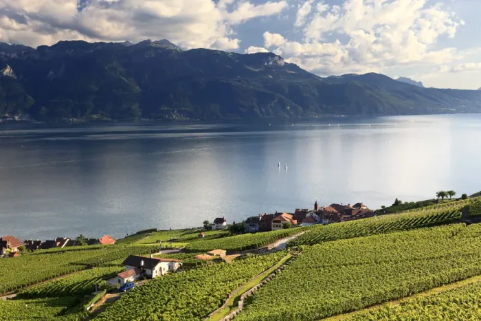 Framed Print : Switzerland, Vaud, Lavaux Vineyards, Rivaz Village and Lac Leman  /  Lake Geneva