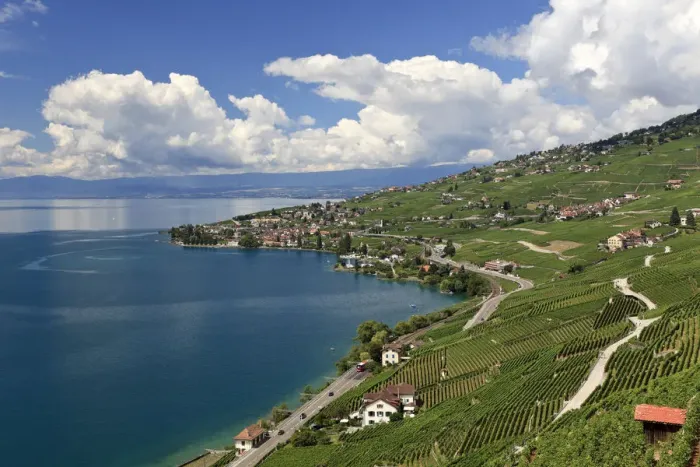 Framed Print : Switzerland, Vaud, Lavaux Vineyards and Lac Leman / Lake Geneva Framed Print : Switzerland, Vaud, Lavaux Vineyards and Lac Leman / Lake Geneva