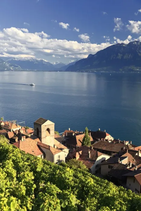 Framed Print : Switzerland, Vaud, Lavaux Vineyards, St. Saphorin Village and Lac Leman  /  Lake Geneva