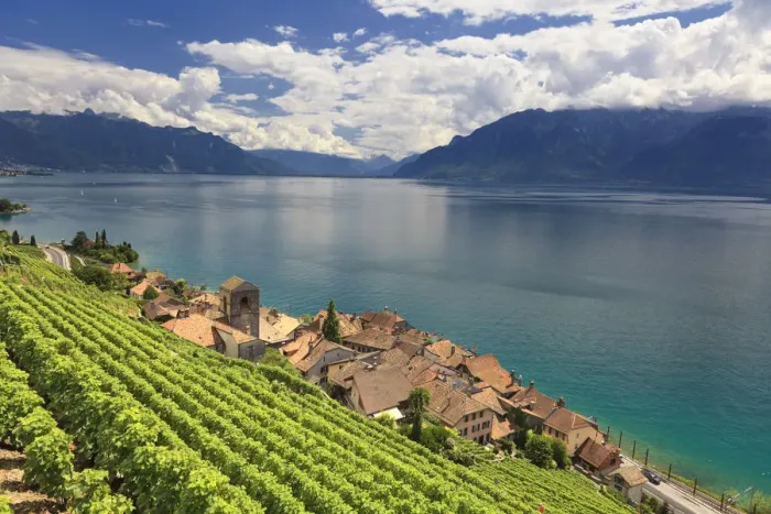 Framed Print : Switzerland, Vaud, Lavaux Vineyards, St. Saphorin Village and Lac Leman / Lake Geneva Framed Print : Switzerland, Vaud, Lavaux Vineyards, St. Saphorin Village and Lac Leman / Lake Geneva