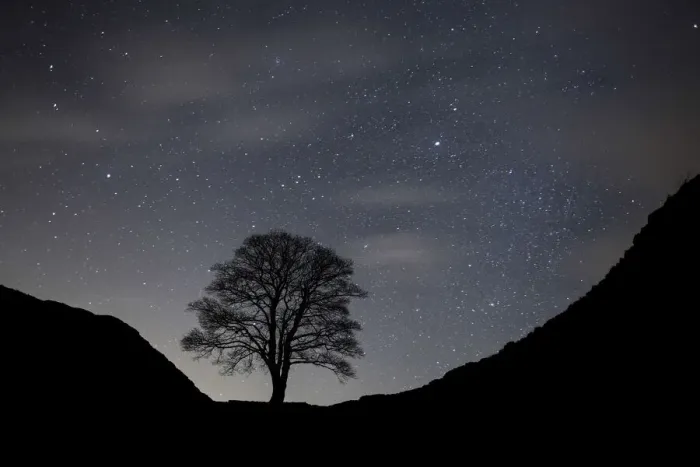 Framed Print : Sycamore Gap, Hadrians Wall, Northumberland, England