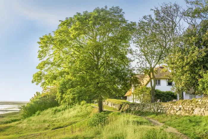 Framed Print : Sylt Museum on the Keitumer Wattseite, Sylt, Schleswig-Holstein, Germany Framed Print : Sylt Museum on the Keitumer Wattseite, Sylt, Schleswig-Holstein, Germany