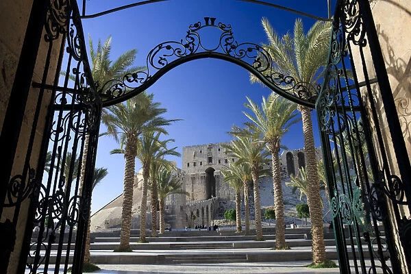 Syria, Aleppo, The Old Town (UNESCO Site), Madrassa as-Sultaniyya (Islamic Law School)