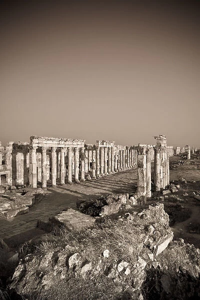 Syria, Apamea (Afamia) Archaeological Site (founded 3rd Century BC), 2km Cardo (Roman