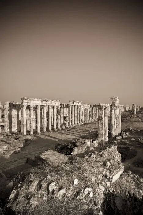 Framed Print : Syria, Apamea (Afamia) Archaeological Site (founded 3rd Century BC), 2km Cardo (Roman Framed Print : Syria, Apamea (Afamia) Archaeological Site (founded 3rd Century BC), 2km Cardo (Roman