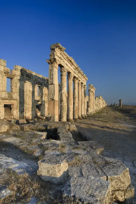 Framed Print : Syria, Apamea (Afamia) Archaeological Site (founded 3rd Century BC), 2km Cardo (Roman Framed Print : Syria, Apamea (Afamia) Archaeological Site (founded 3rd Century BC), 2km Cardo (Roman