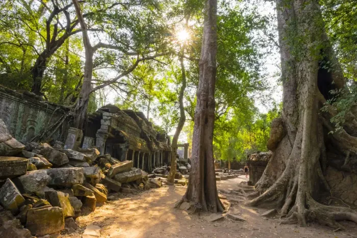 Framed Print : Ta Prohm temple (Rajavihara), Angkor, UNESCO World Heritage Site, Siem Reap Province Framed Print : Ta Prohm temple (Rajavihara), Angkor, UNESCO World Heritage Site, Siem Reap Province