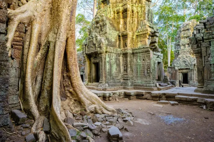 Framed Print : Ta Prohm temple ruins, Angkor, UNESCO World Heritage Site, Siem Reap Province, Cambodia Framed Print : Ta Prohm temple ruins, Angkor, UNESCO World Heritage Site, Siem Reap Province, Cambodia