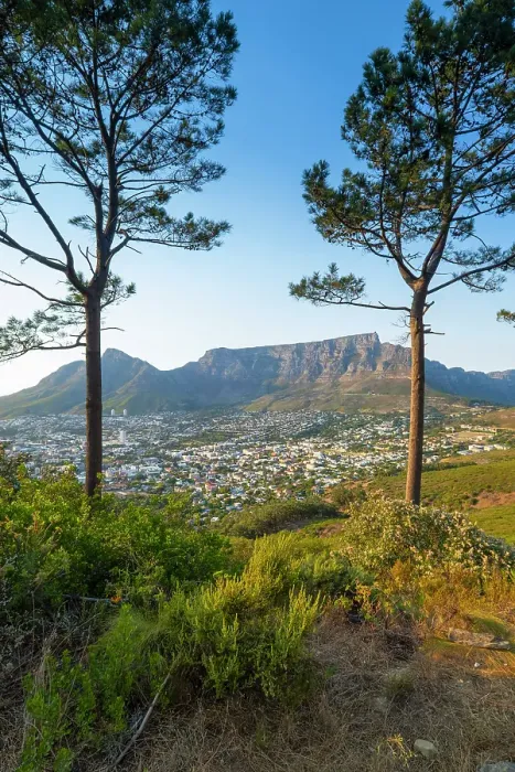 Framed Print : Table Mountan & Cape Town, Western Cape, South Africa