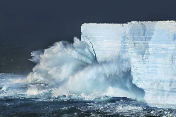 Tabular iceberg with breaking waves near Zavodovski Island - South Sandwich Islands