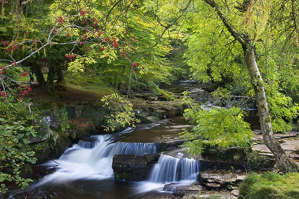 Taf Fechan River flowing through autumn foliage, Brecon Beacons National Park, Powys
