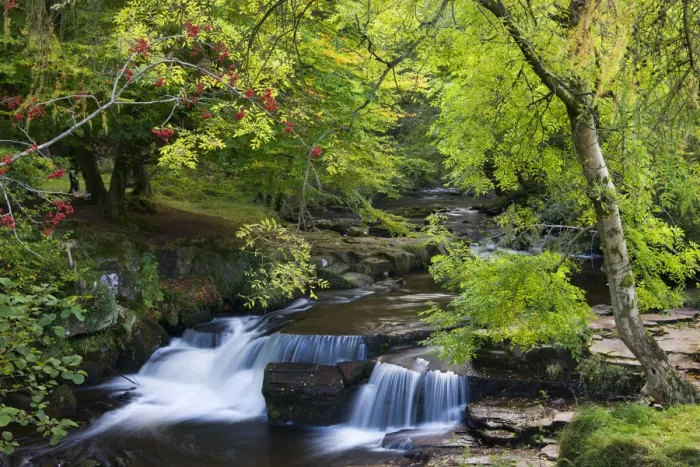 Framed Print : Taf Fechan River flowing through autumn foliage, Brecon Beacons National Park, Powys Framed Print : Taf Fechan River flowing through autumn foliage, Brecon Beacons National Park, Powys