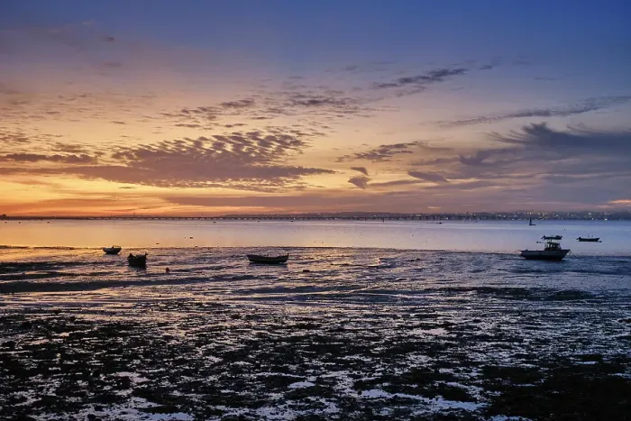 Framed Print : Tagus river at low tide. Alcochete, Portugal Framed Print : Tagus river at low tide. Alcochete, Portugal