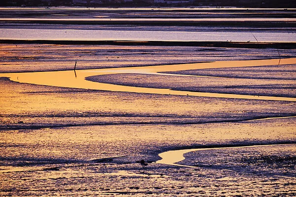 Tagus river at low tide. Rosario, Moita. Portugal